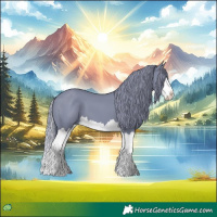 Horse Color:Watercolor Black Splash