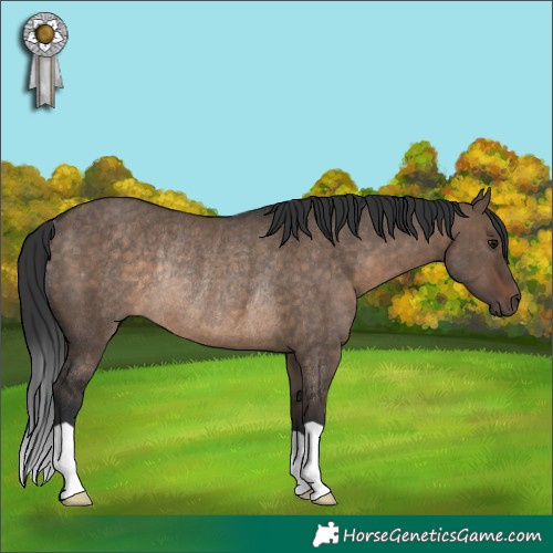 Horse Color:Brown Dun Rabicano 