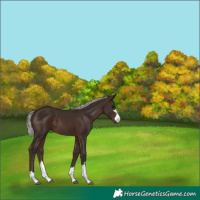 Horse Color:Silver Brown 