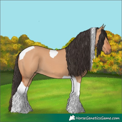 Horse Color:Bay Dun Tobiano 