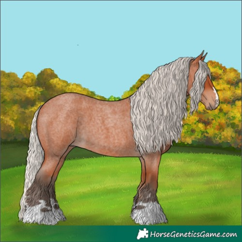 Horse Color:Silver Bay Roan