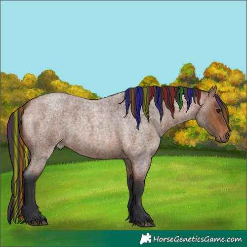 Horse Color:Painted Bay Roan
