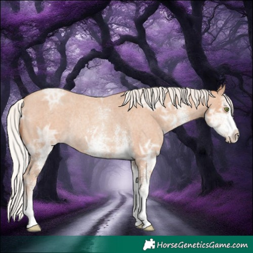 Horse Color:White Spotted Silver Classic Champagne Ice Roan Rabicano 