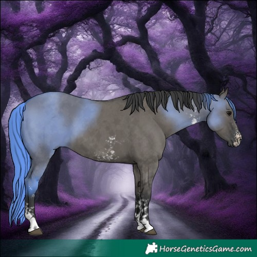 Horse Color:Grullo Sabino 