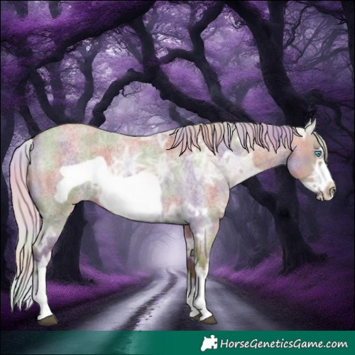 Horse Color:Nacre White Spotted Silver Grullo Ice Roan Frame Rabicano 