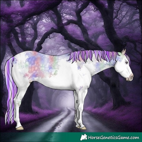 Horse Color:Platinum Painted Nacre Silver Grullo Chinchilla Splash Tobiano 