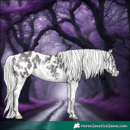 Horse Color:Platinum Silver Brown Ice Onyx Blanket 