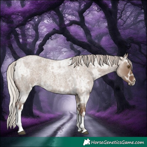 Horse Color:White Spotted Silver Grullo Ice Roan 