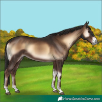 Horse Color:Liver Red Onyx