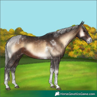 Horse Color:Silver Brown Onyx Tobiano 