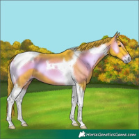 Horse Color:Watercolor Liver Red Onyx Tobiano 