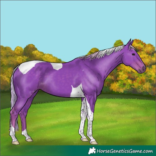 Horse Color:Watercolor Silver Black Tobiano 