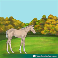 Horse Color:Silver Perlino Tobiano 