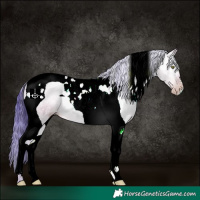 Horse Color:Gray Watercolor Amber Champagne Ice Dun Tobiano 