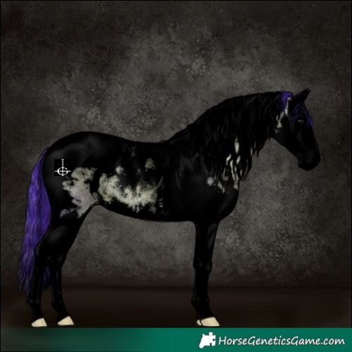 Horse Color:Void Watercolor White Spotted Bay Onyx Splash Tobiano 