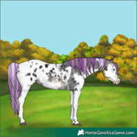 Horse Color:Platinum Painted Brown Ice Splash Tobiano Blanket