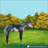 Horse Color:Gray Platinum Painted Silver Black Ice Tobiano Rabicano