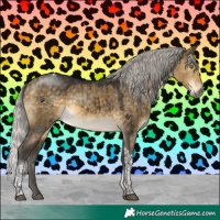 Horse Color:Silver Buckskin Dun Tobiano Brindle 