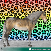 Horse Color:Silver Buckskin Dun Tobiano Brindle 