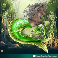 Horse Color:Silver Brown Dun Tobiano 