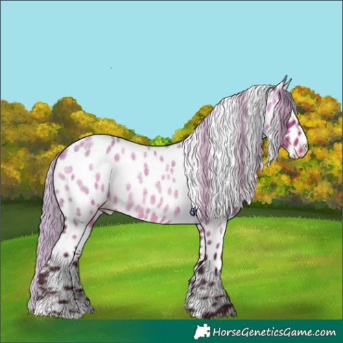 Horse Color:Silver Brown Roan Dun Appaloosa Rabicano 