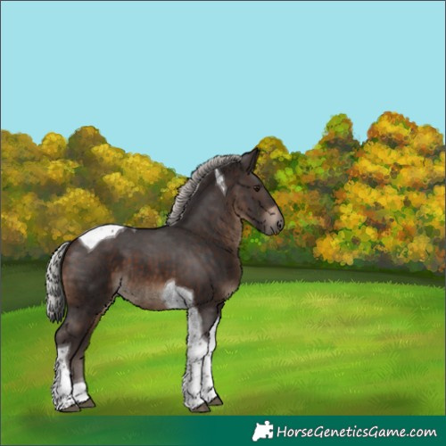 Horse Color:Silver Brown Tobiano 