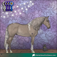 Horse Color:Silver Grullo Tobiano Rabicano Brindle 
