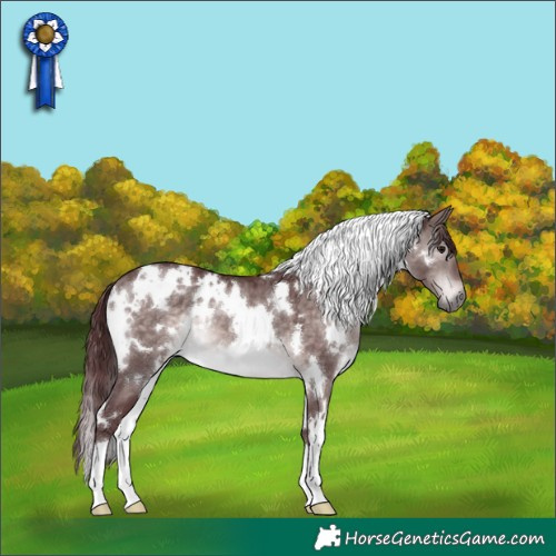 Horse Color:Platinum White Spotted Chocolate Brown Dun 