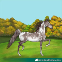 Horse Color:Platinum White Spotted Chocolate Brown Dun 