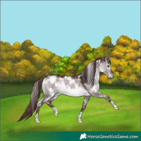 Horse Color:Platinum White Spotted Chocolate Brown Dun 
