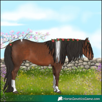Horse Color:Liver Chestnut Tobiano