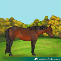 Horse Color:Brown 