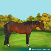 Horse Color:Brown 