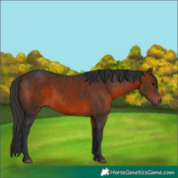 Horse Color:Brown 