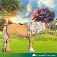 Horse Color:Palomino 