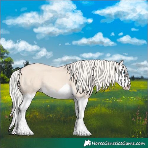 Horse Color:Cremello Splash 