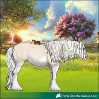 Horse Color:Cremello Splash 