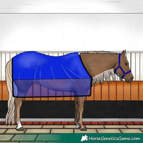 Horse Color:Chocolate Palomino 