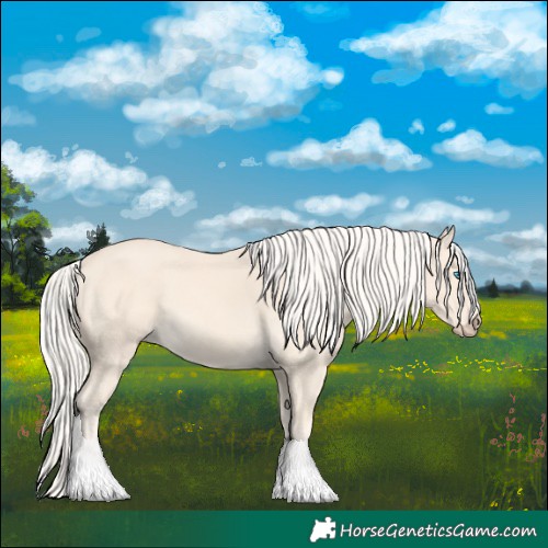 Horse Color:Cremello