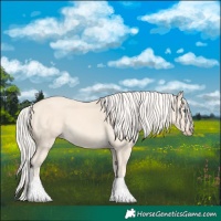 Horse Color:Cremello