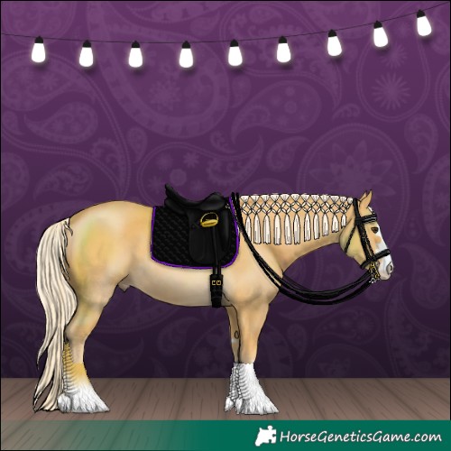 Horse Color:Palomino