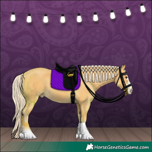 Horse Color:Palomino 