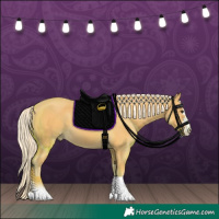 Horse Color:Palomino 