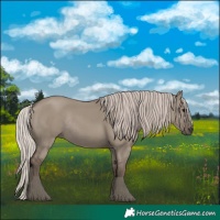 Horse Color:Silver Grullo Rabicano 