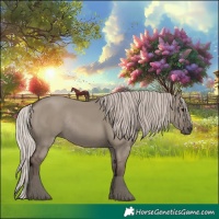 Horse Color:Silver Grullo Rabicano