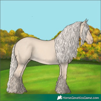 Horse Color:Cremello Dun Rabicano 