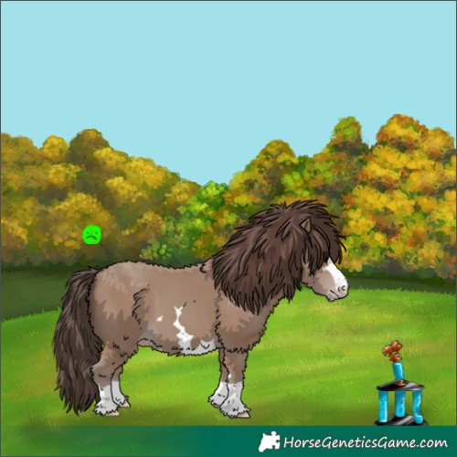 Horse Color:Classic Champagne 