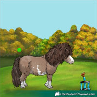 Horse Color:Classic Champagne 