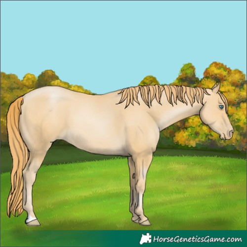 Horse Color:Smoky Black Pearl