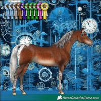 Horse Color:Silver Brown Tobiano 